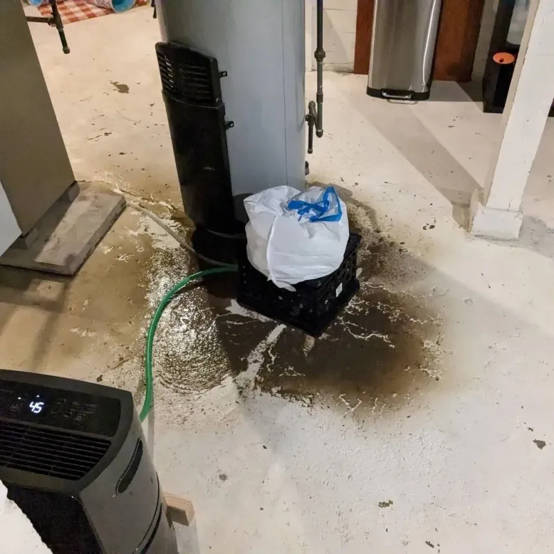 Sewage Backup Cleanup Service in Tanaina, AK